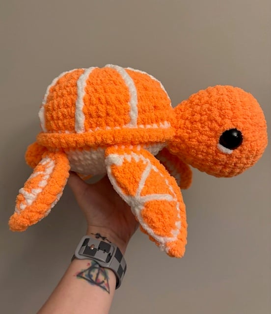 orange turtle